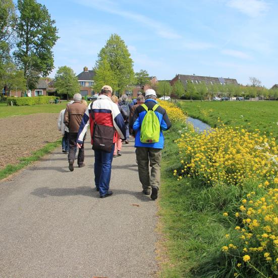 Mennesker der går tur langs en grøft med gule blomster