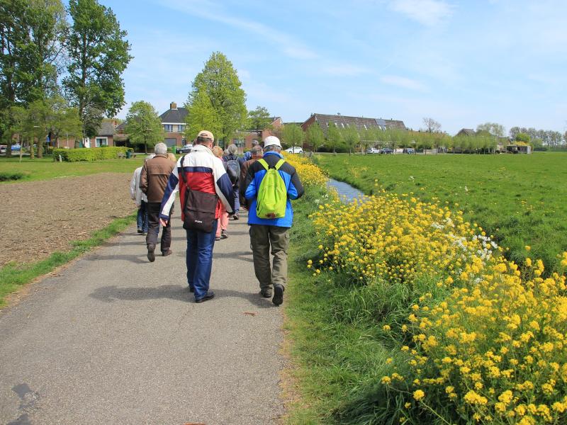 Mennesker der går tur langs en grøft med gule blomster