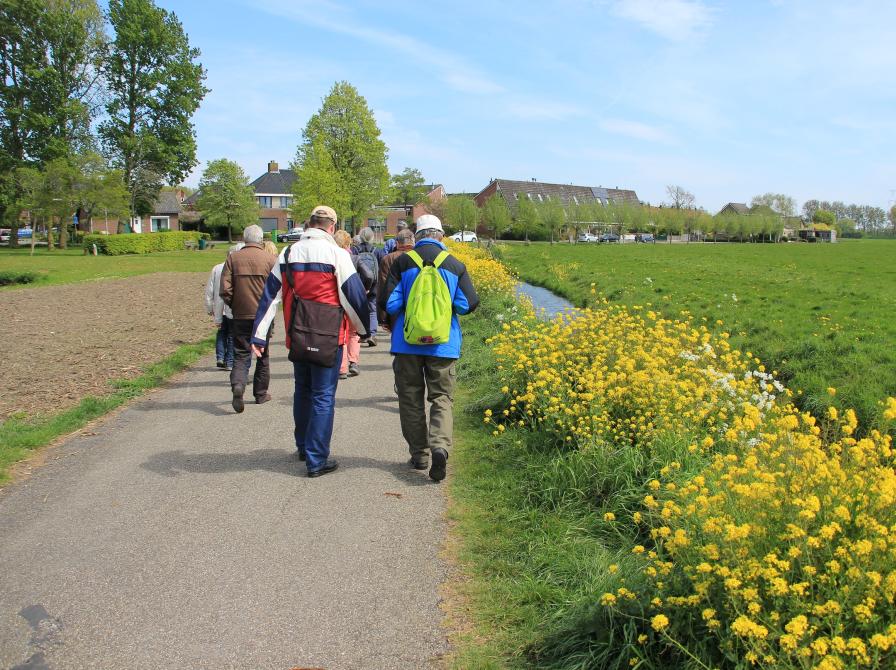 Mennesker der går tur langs en grøft med gule blomster